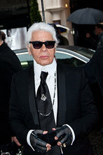 Load image into Gallery viewer,  PALAZZO by Karl Lagerfeld & Amanda Harlech
