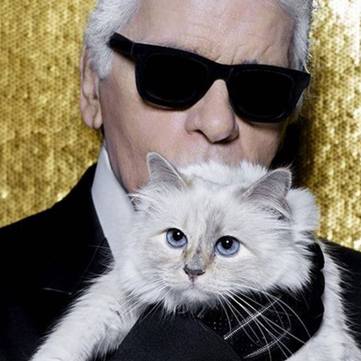 CHOUPETTE - Karl Lagerfeld Famous Cat / Limited Edition