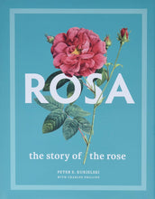 Load image into Gallery viewer, Rosa: The Story of the Rose