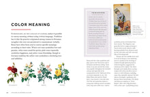 Load image into Gallery viewer, Rosa: The Story of the Rose