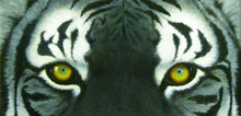 Load image into Gallery viewer, WHITE BENGAL TIGER / Original Canvas Painting