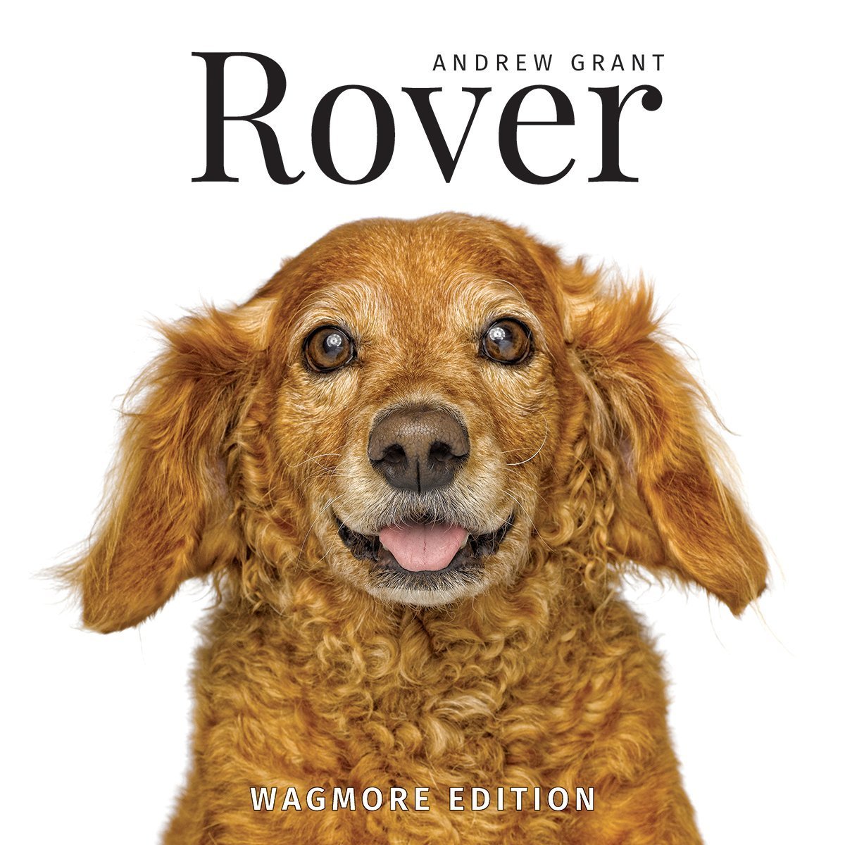ROVER ( the Dog ) Coffee Table Book / By Andrew Grant