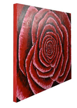 Load image into Gallery viewer, RED ROSE / Original Canvas Painting  - By Andy Habib