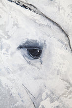 Load image into Gallery viewer, Equine soul mates. Social attachments are literally a matter of life and death. But domesticated horses can form bonds—sometimes with horses they've just met—that exceed the depth and strength of those in nature. BONUS: Framed. Gold Brush Floating Frame
