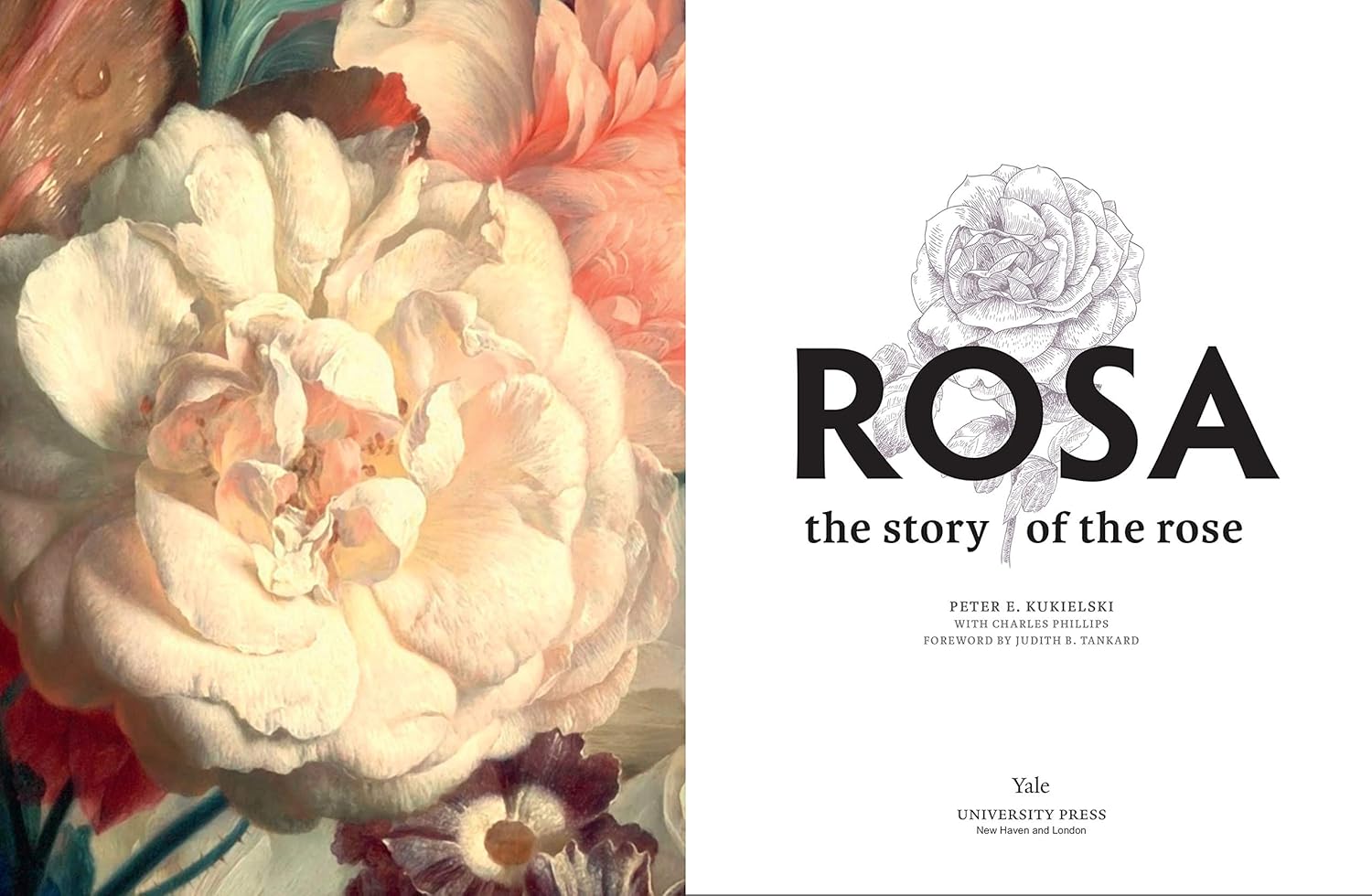 Rosa: The Story of the Rose