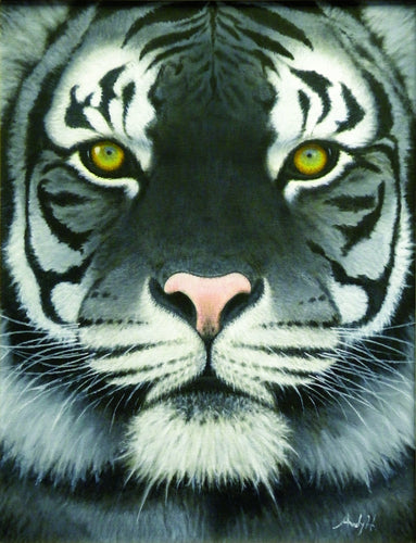 WHITE BENGAL TIGER / Original Canvas Painting - By Andy Habib